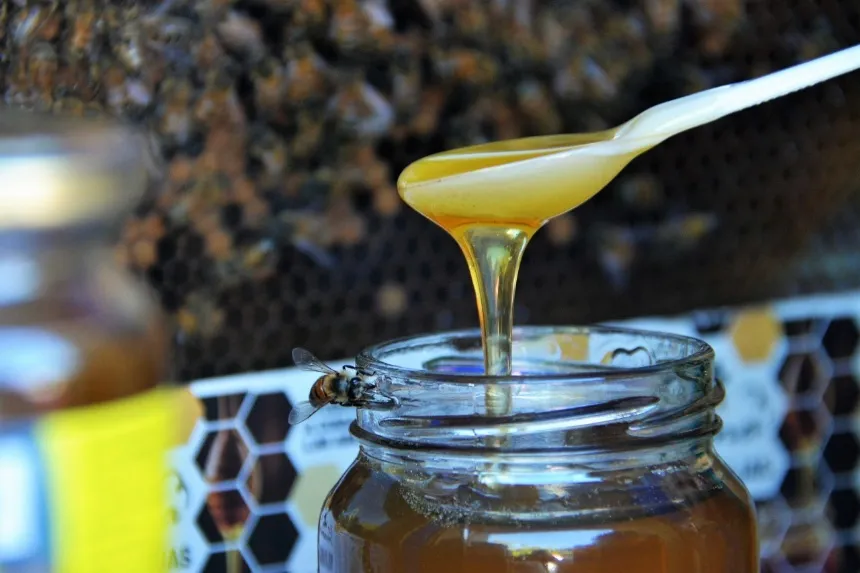 Semana de la Miel en Tandil en Agro y Negocios. Noticia de Región Mar del Plata