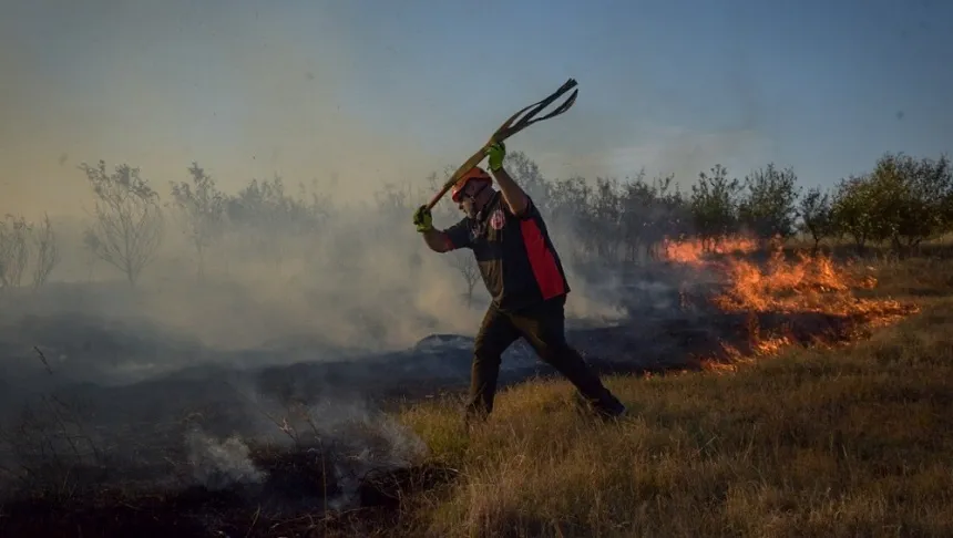 Noticias de Mar del Plata. Solicitan extremar medidas para evitar incendios forestales