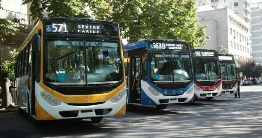 Noticias de Mar del Plata. Taccone «Las frecuencias del transporte público son prioridad para la calidad del servicio»