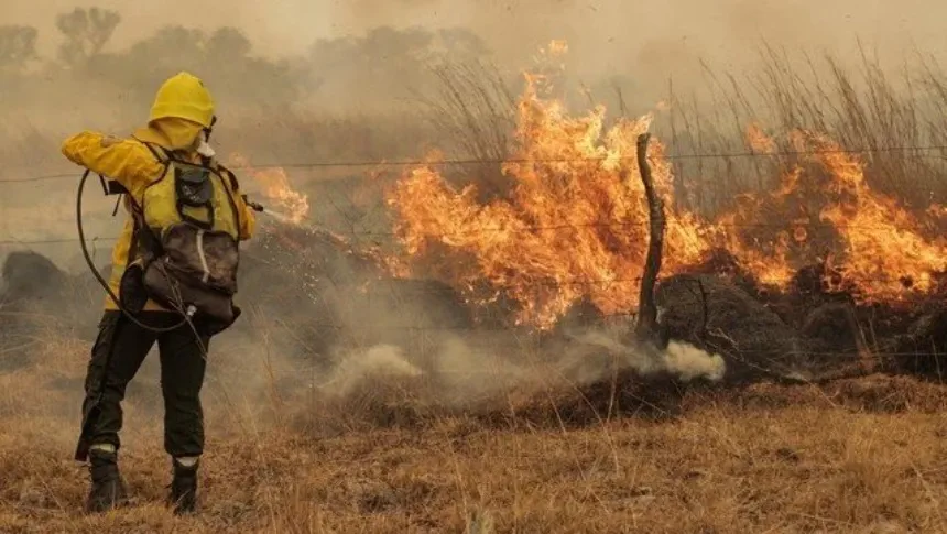Una quema de pastizales provocó un incendio que arrasó 15 hectáreas en Loberia. Noticia de Región Mar del Plata