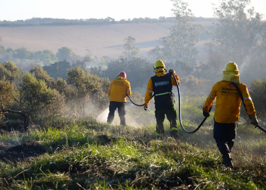 Advierten sobre probabilidades altas de incendios forestales los próximos días en General Pueyrredon. Noticia de Región Mar del Plata