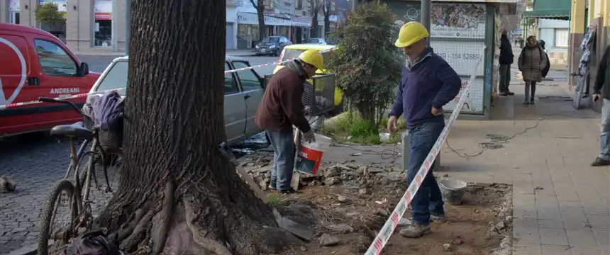 Noticias de Tandil. Avanzan la remodelación del Mercado Municipal