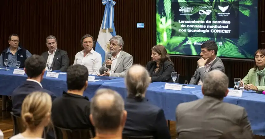 Noticias de Regionales. Comercializarán semillas de cannabis medicinal con tecnología CONICET