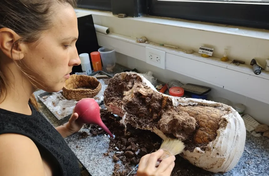 Noticias de Mar del Plata. Dos niños fueron parte de un nuevo hallazgo paleontológico en Playa San Carlos