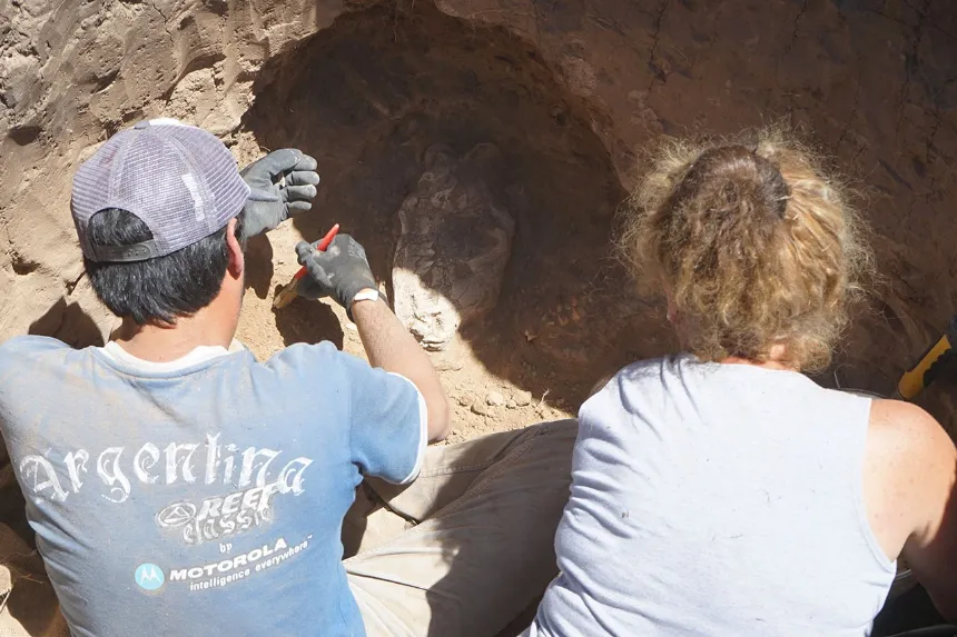 Encuentran cráneo de un mamífero que habría vivido en la Era de Hielo