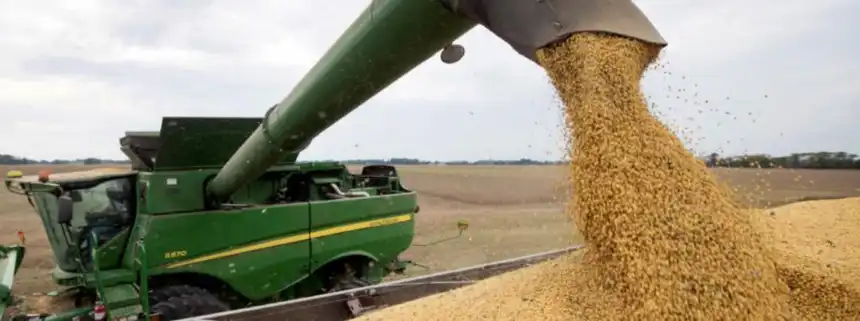 Noticias de Agro y Negocios. Estiman que El Niño impulsará la producción agrícola