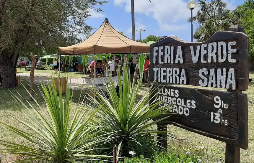 Noticias de Miramar. Feria Verde, un proyecto que cumplió 14 años en Miramar