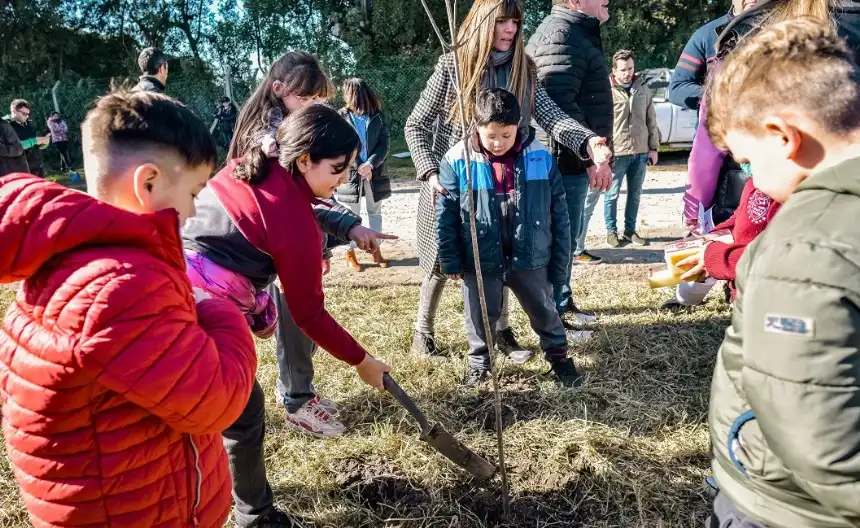Noticias de Mar del Plata. La comuna marplatense plantó más de 1300 árboles en distintos barrios