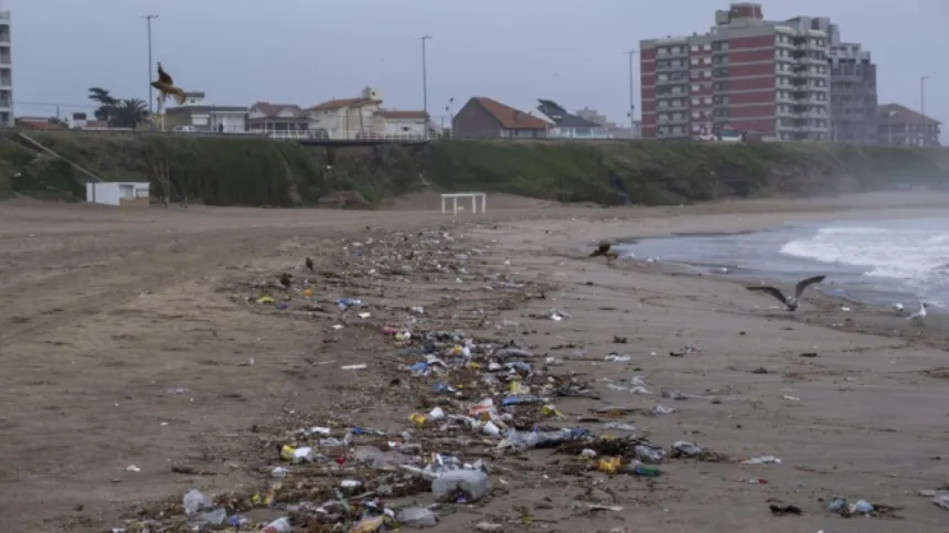 Noticias de Mar del Plata. Lo que se podría hacer para que la basura no llegue a las playas