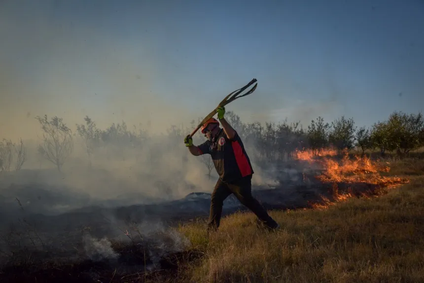 Noticias de Mar del Plata. Los incendios forestales disminuyeron casi un 50%