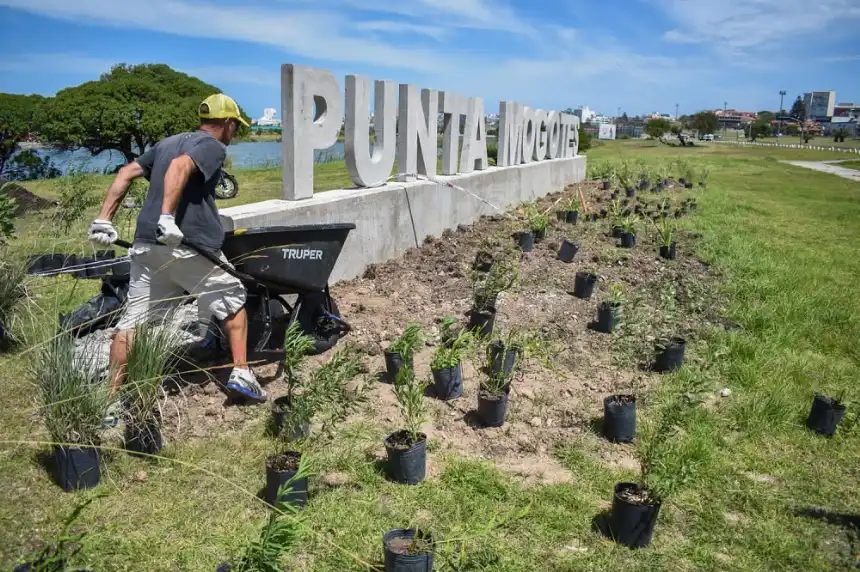 Noticias de Turismo. Obras de accesibilidad con obras de rampas en Punta Mogotes
