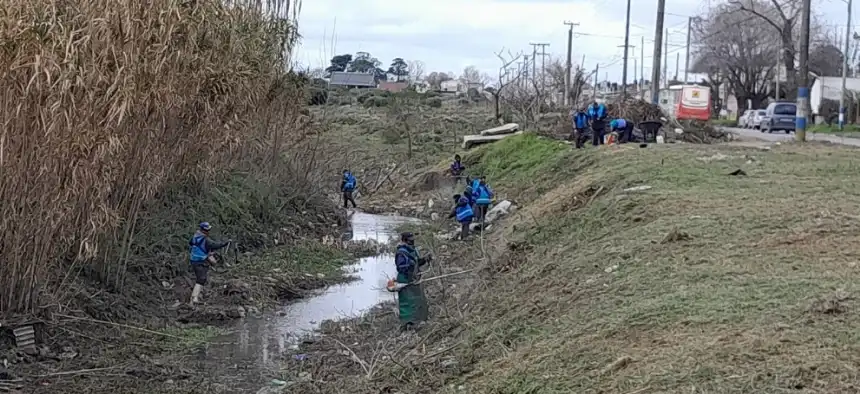 Noticias de Mar del Plata. Operativo de limpieza en el Arroyo Las Chacras