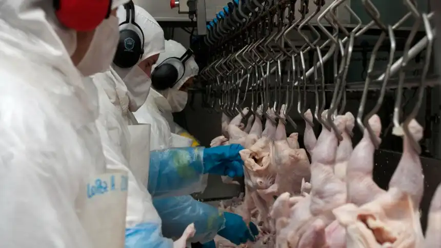 Noticias de Agro y Negocios. Reapertura de Japón a la carne fresca aviar y ovoproductos