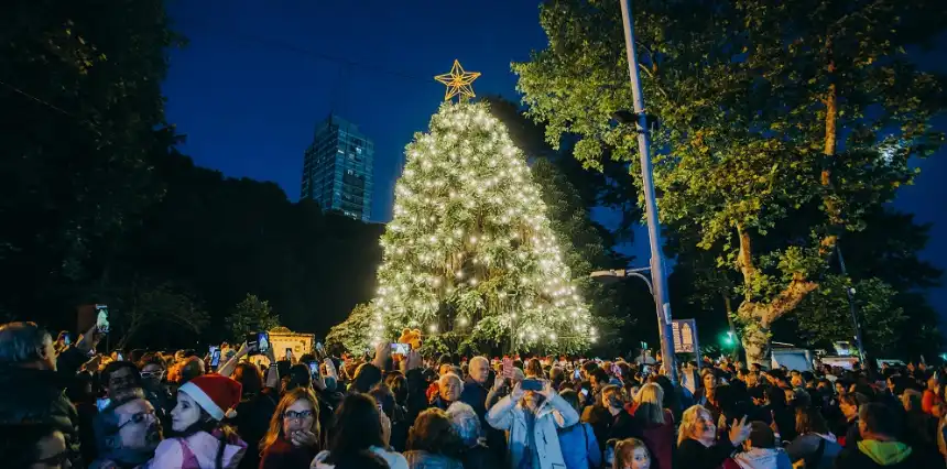 Noticias de Mar del Plata. Se iluminó el árbol de navidad de la plaza San Martín