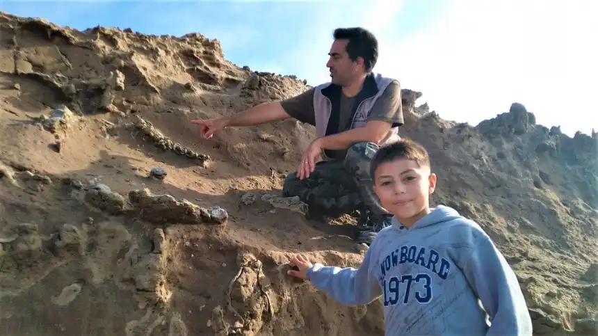 Noticias de Miramar. Un niño de 8 años encontró fósiles de un perezoso gigante en Miramar