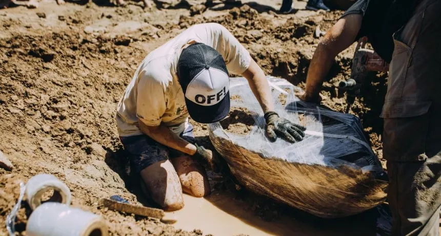 Una familia encontró restos de dos gliptodontes en las playas de Chapadmalal en General Pueyrredon. Noticia de Región Mar del Plata