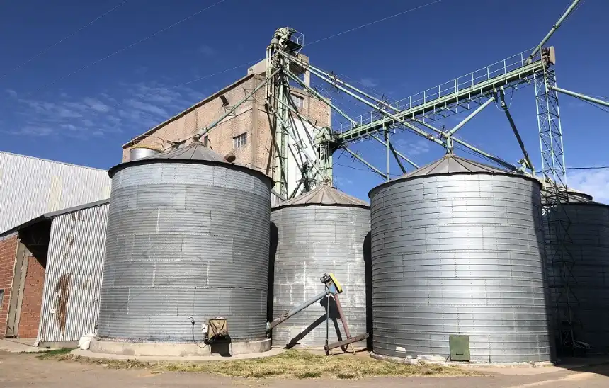 Noticias de Agro y Negocios. Bapan Argentina Innovación en harinas orgánicas certificadas y su visión de futuro