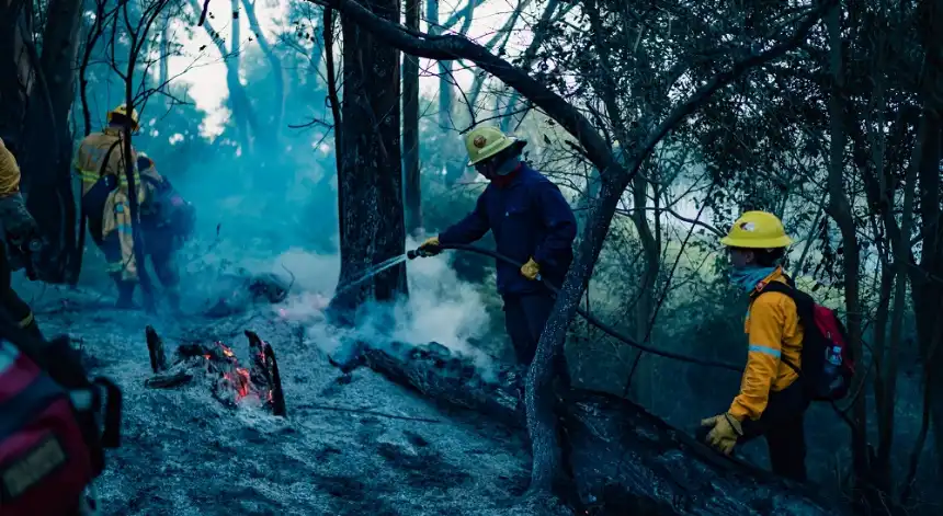 Noticias de Mar del Plata. Controlado el incendio forestal en Laguna de Los Padres