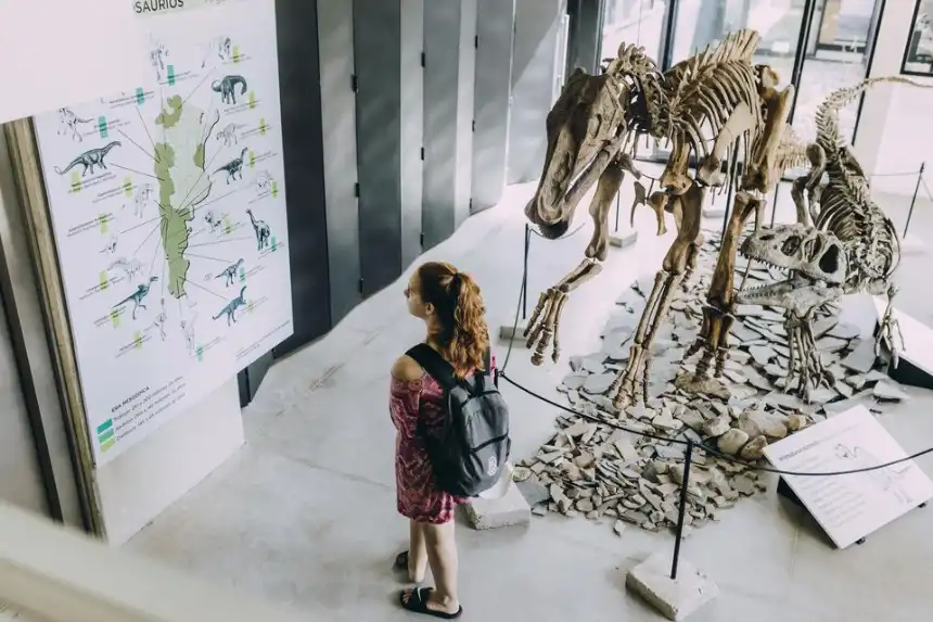 Noticias de Mar del Plata. El Museo de Ciencias Naturales un paseo ideal para las familias en verano