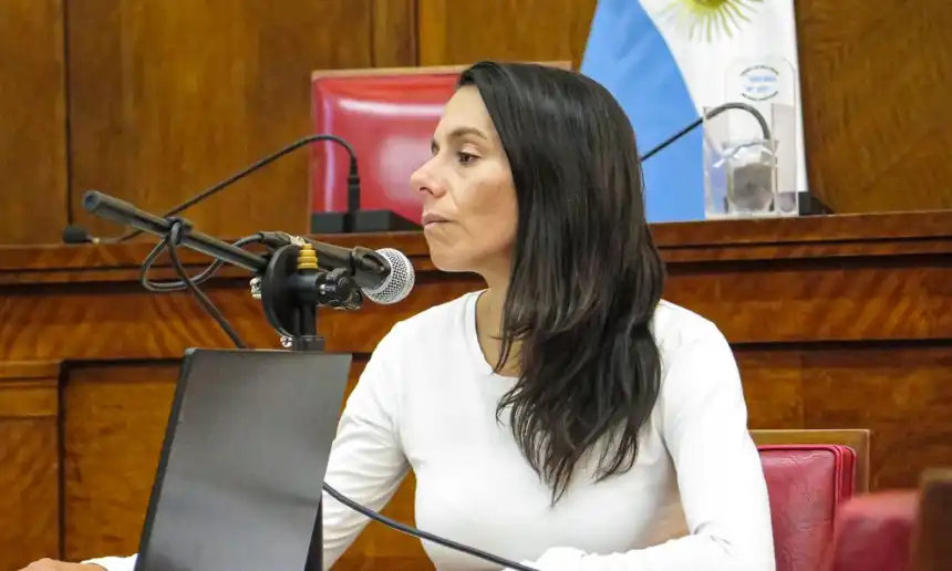 Noticias de Mar del Plata. Eva Ayala insta al Municipio a controlar el comercio de usados para prevenir delitos
