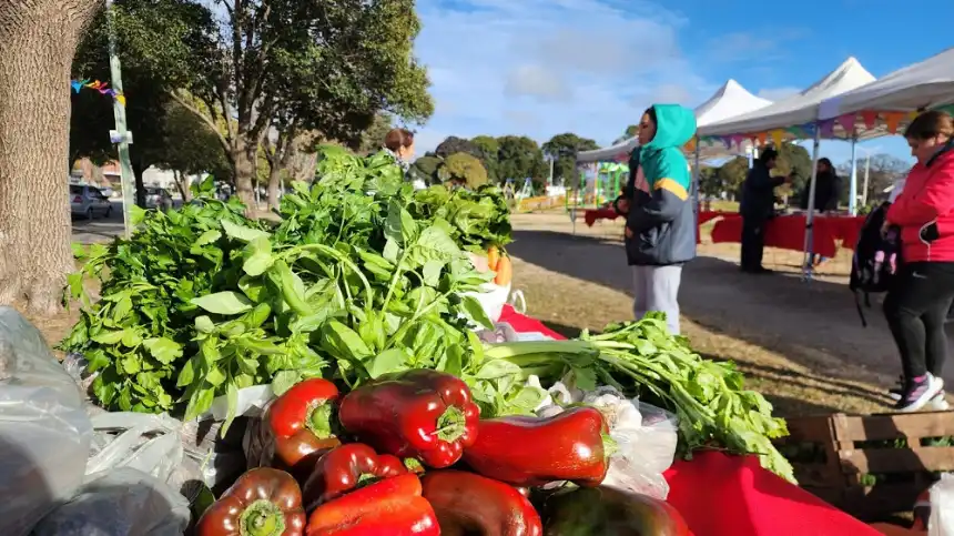 Noticias de Tandil. Éxito del Mercado Alimenticio Barrial en la Estación