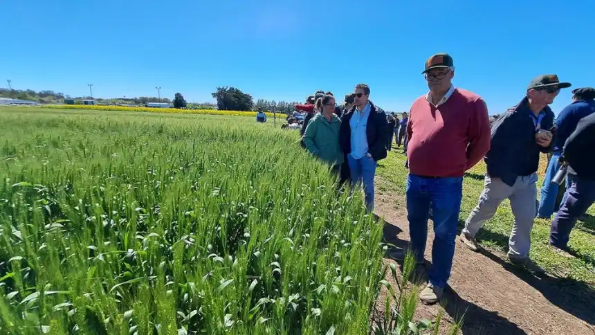 Noticias de Agro y Negocios. Expocereales 2024 llega a Miramar