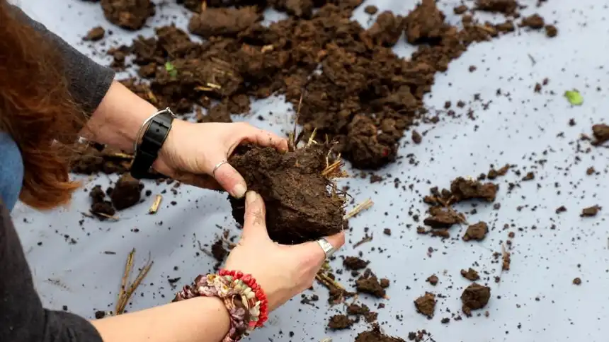 Noticias de Agro y Negocios. FAO lanza en Argentina su programa de Doctores de los Suelos