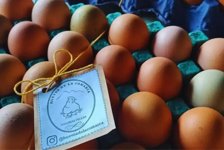 Noticias de Agro y Negocios. Huevos de gallinas libres calidad, nutrición y desarrollo local