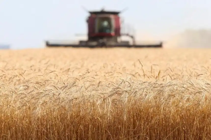Noticias de Agro y Negocios. Importante jornada de comercialización y políticas para el trigo