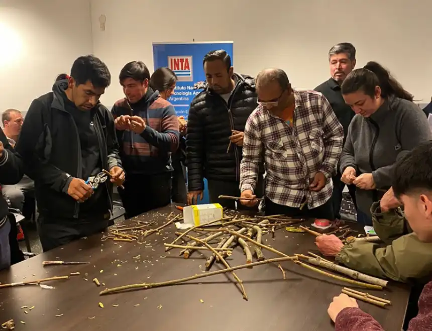 Noticias de Agro y Negocios. Impulsan el desarrollo del cultivo de kiwi con curso de injertos en Mar del Plata