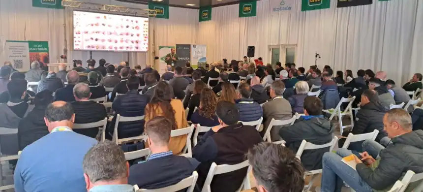 Noticias de Agro y Negocios. La elección de la semilla y el manejo del suelo, claves para la próxima campaña de soja y girasol