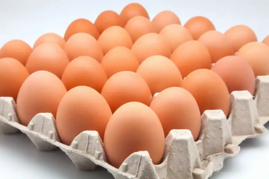 Noticias de Agro y Negocios. La producción de huevos creció 2,88 por ciento interanual