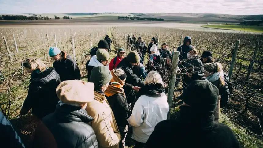 Noticias de Agro y Negocios. Más de 150 vecinos se capacitan en Mar del Plata