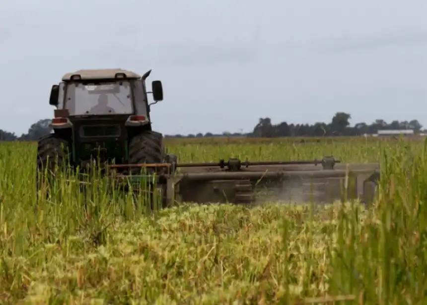 Noticias de Agro y Negocios. Nuevas medidas para impulsar el sector agropecuario en la provincia