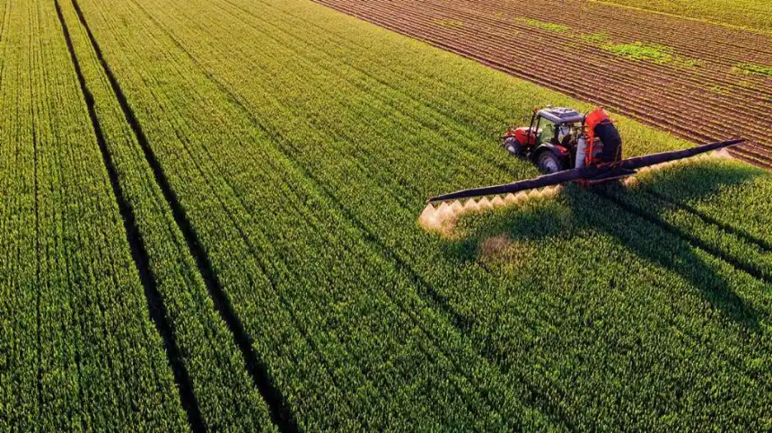 Noticias de Agro y Negocios. Agricultura sustentable puede absorber más carbono que un bosque Noticias de Agro y Negocios. Agricultura sustentable puede absorber más carbono que un bosque