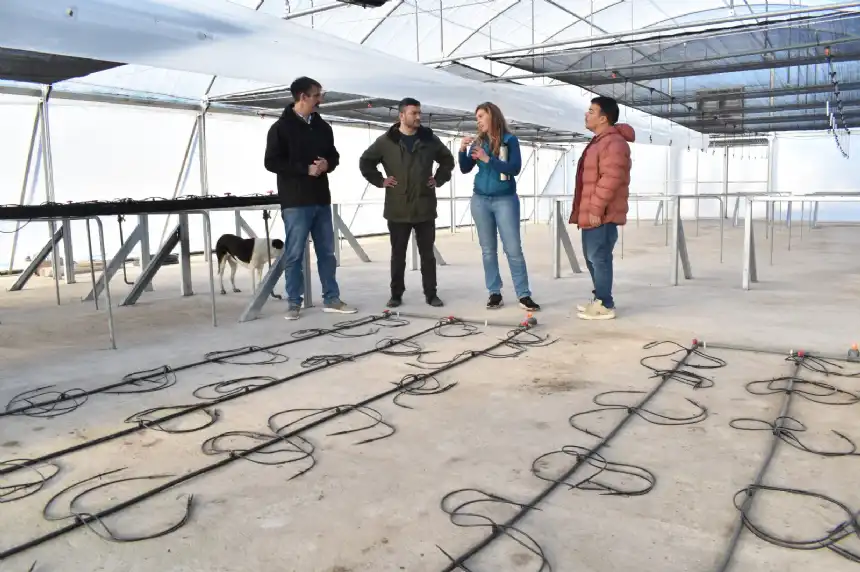 Noticias de Miramar. Avanza la biofábrica en la Chacra Experimental Miramar Noticias de Miramar. Avanza la biofábrica en la Chacra Experimental Miramar
