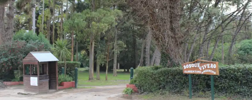 Noticias de Turismo. Caminatas guiadas gratuitas en el Bosque Vivero de Miramar Noticias de Turismo. Caminatas guiadas gratuitas en el Bosque Vivero de Miramar