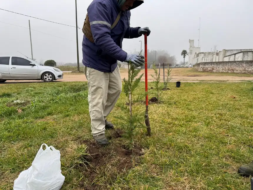 Noticias de Balcarce. Cementerio de Balcarce suma 50 cipreses para impulsar la conciencia ambiental Noticias de Balcarce. Cementerio de Balcarce suma 50 cipreses para impulsar la conciencia ambiental