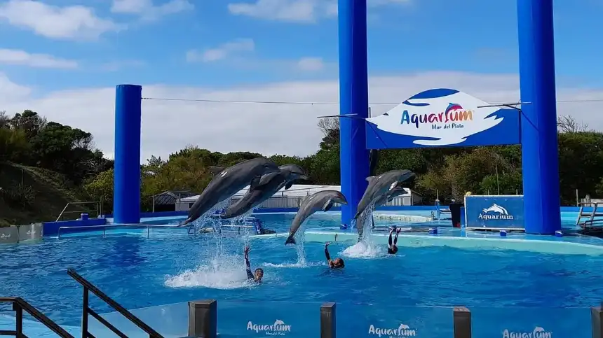 Noticias de Mar del Plata. Cierre del Aquarium de Mar del Plata Solicitan traslado de animales a santuarios marinos