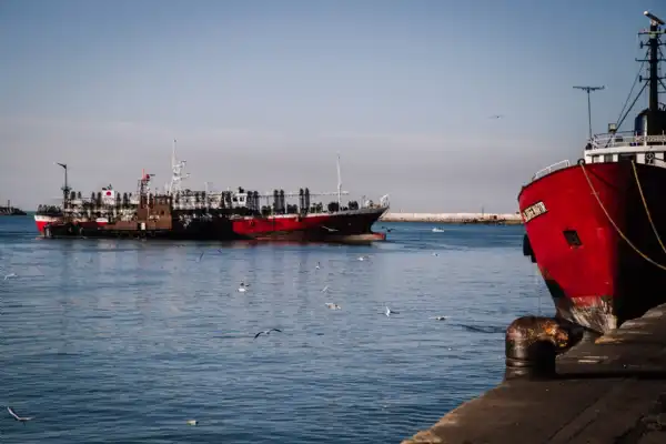 General Pueyrredon. Destacan el rol del puerto en la zafra de calamar 2026
