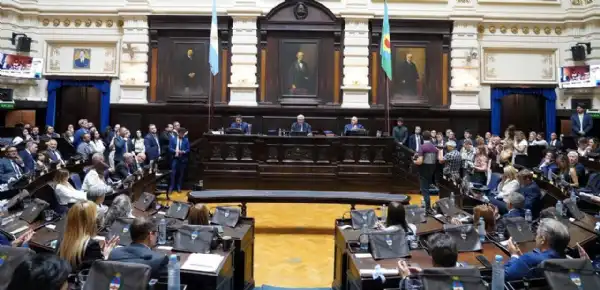 General Pueyrredon. Diputados de Fuerza Patria juraron en la provincia de Buenos Aires