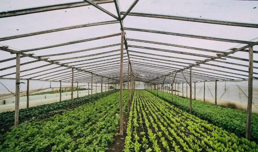 Noticias de Agro y Negocios. El Banco de Insumos fortalece a productores rurales con entregas y capacitaciones clave Noticias de Agro y Negocios. El Banco de Insumos fortalece a productores rurales con entregas y capacitaciones clave