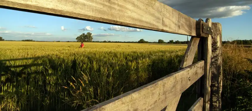 Noticias de Agro y Negocios. El campo argentino muestra cautela ante la incertidumbre política Noticias de Agro y Negocios. El campo argentino muestra cautela ante la incertidumbre política