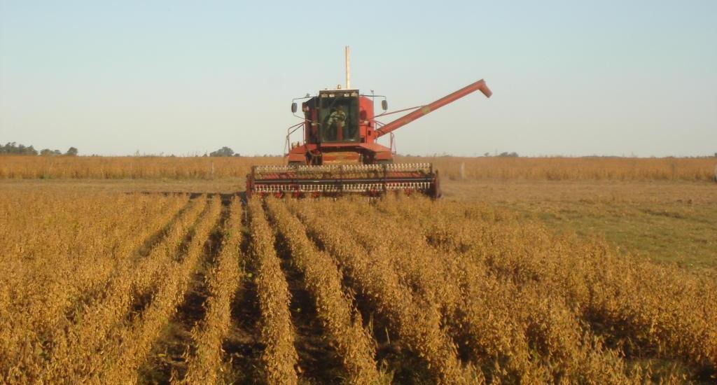Noticias de Agro y Negocios. El campo argentino reclama un freno a las retenciones para sostener la producción Noticias de Agro y Negocios. El campo argentino reclama un freno a las retenciones para sostener la producción
