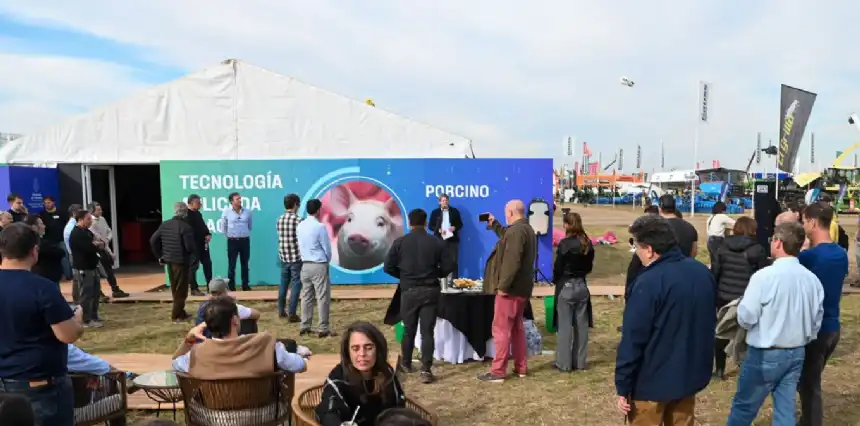 Noticias de Agro y Negocios. El Gobierno impulsa créditos sin avales para productores porcinos Noticias de Agro y Negocios. El Gobierno impulsa créditos sin avales para productores porcinos