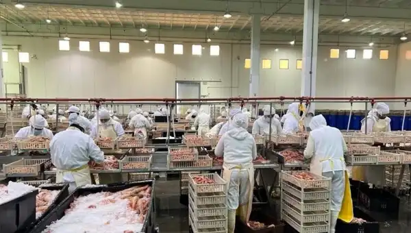 General Pueyrredon. Empresas pesqueras van por la reforma laboral