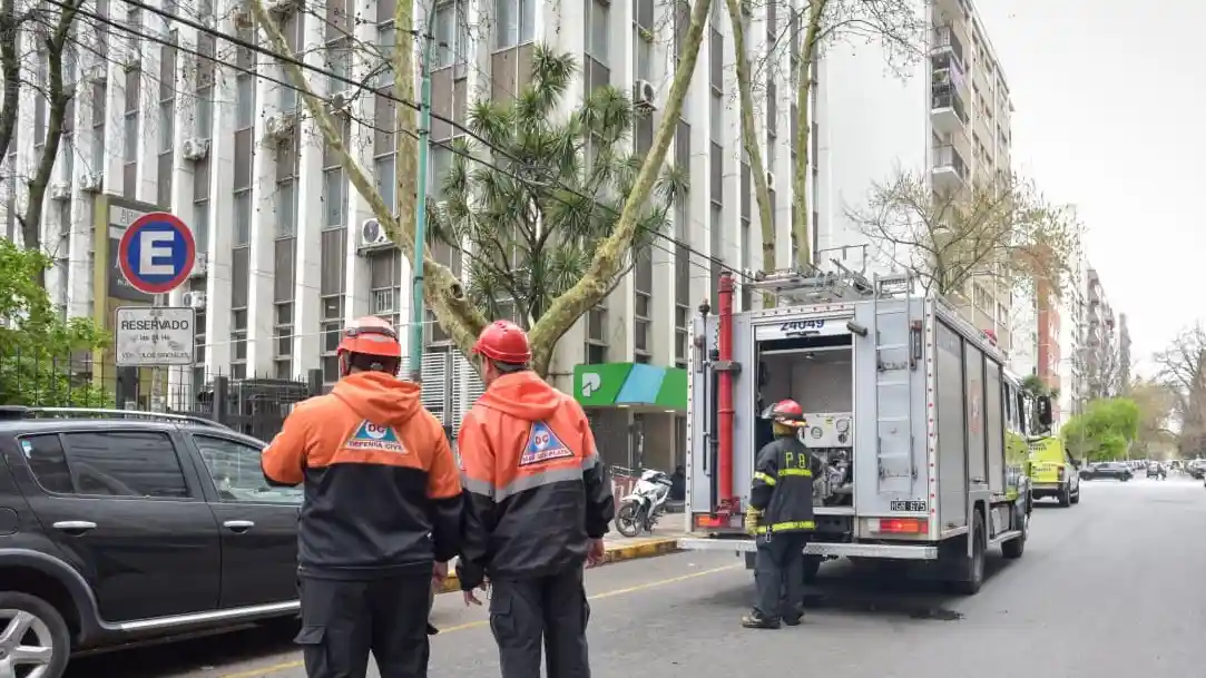 Noticias de Mar del Plata. Simulacro de evacuación en Tribunales participaron más de 300 personas