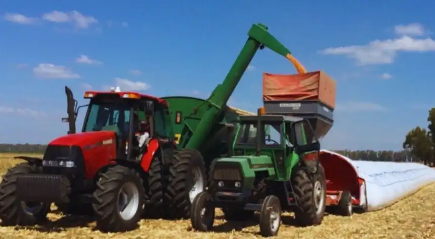 Noticias de Agro y Negocios. Innovaciones del INTA para el almacenamiento de granos