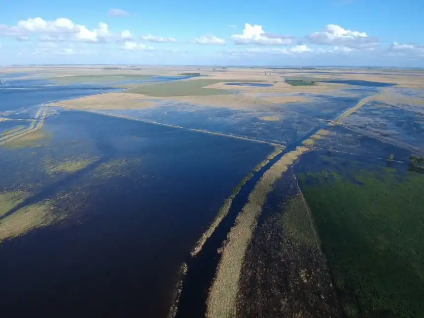 Noticias de Agro y Negocios. Inundaciones en Buenos Aires Casi 2 millones de hectáreas bajo el agua Noticias de Agro y Negocios. Inundaciones en Buenos Aires Casi 2 millones de hectáreas bajo el agua