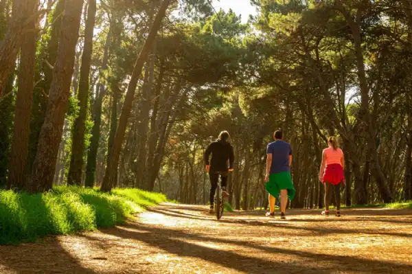 Necochea. Invitan a actividades gratuitas en vísperas del Retiro Internacional de Yoga